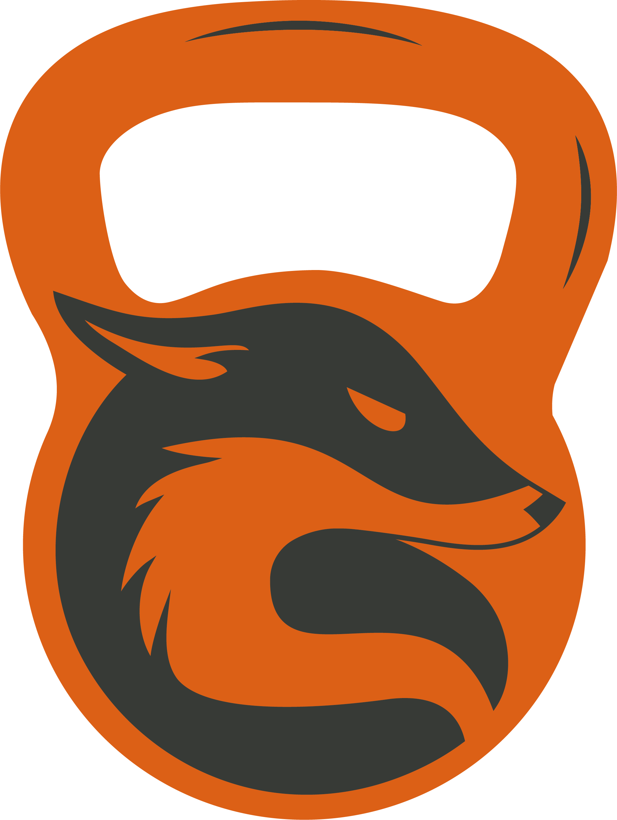 image of a fox on a kettlebell